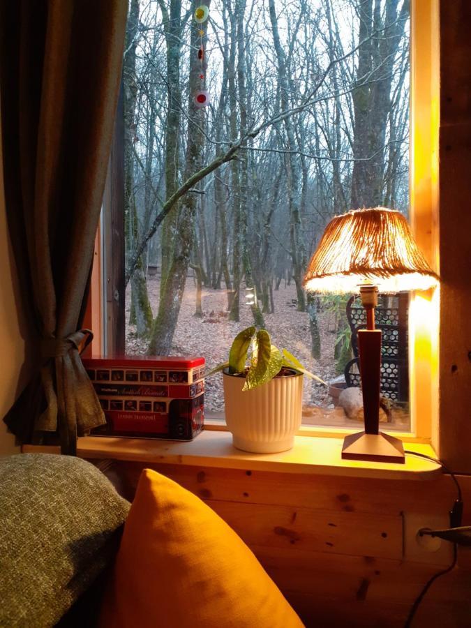 Le Gite De La Cabane De L'Oiseau Couze-et-Saint-Front Esterno foto