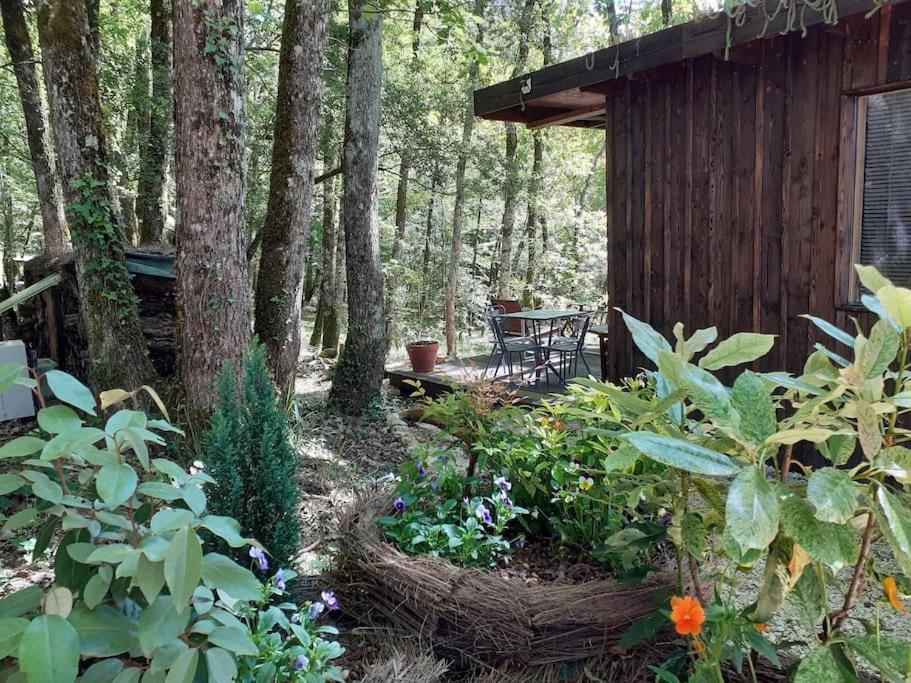 Le Gite De La Cabane De L'Oiseau Couze-et-Saint-Front Esterno foto