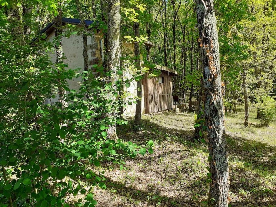 Le Gite De La Cabane De L'Oiseau Couze-et-Saint-Front Esterno foto